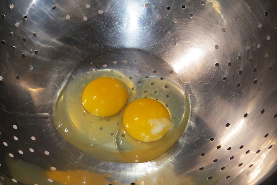 Drain eggs Eggs Benedict Drain eggs Eggs Benedict