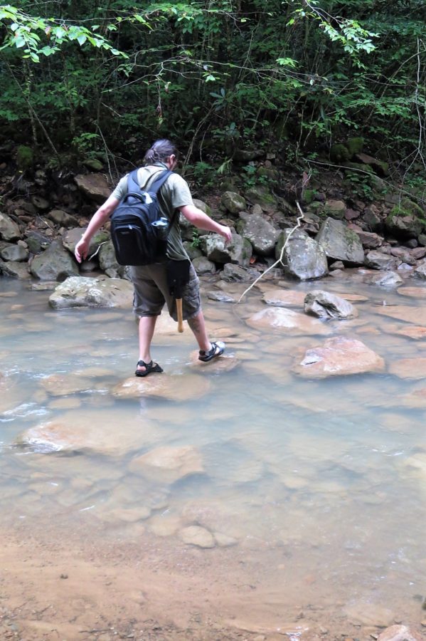 Crossing the first stream Devil’s Bathtub Duffield Virginia Crossing the first stream Devil's Bathtub Duffield Virginia