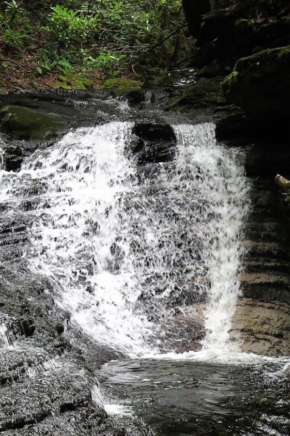 Devil’s Bathtub Duffield Virginia This Life