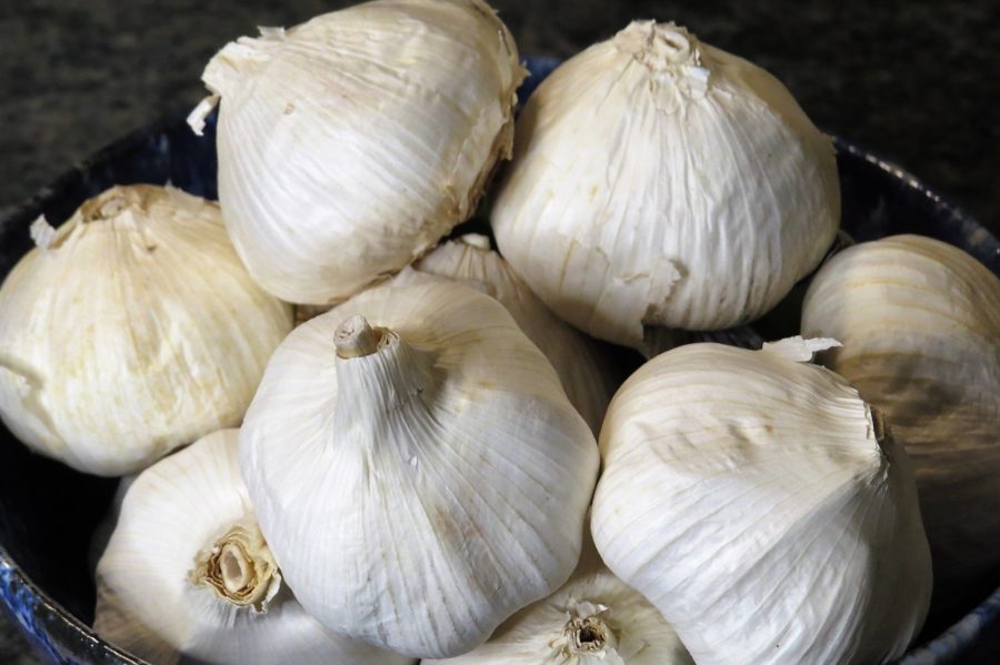 Garlic heads Homemade Garlic powder Garlic heads Homemade Garlic powder