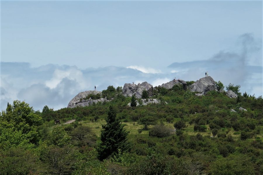 Grayson Highlands State Park Mouth of Wilson Virginia Grayson Highlands State Park Mouth of Wilson Virginia