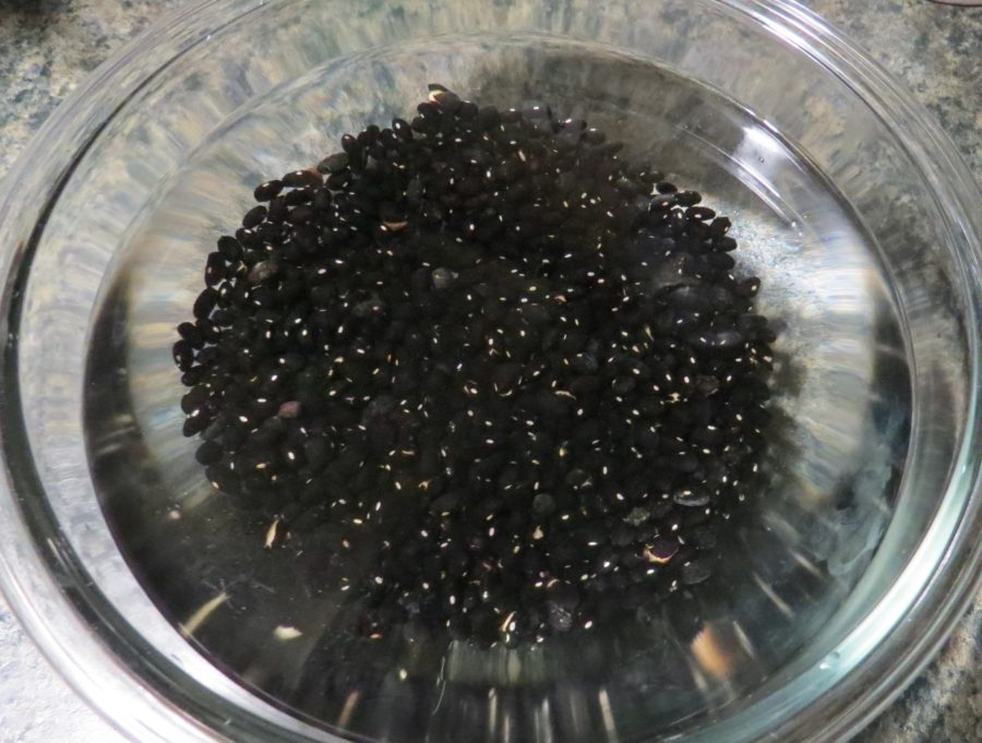 Soaking black beans Beef and Black Bean Chili Soaking black beans Beef and Black Bean Chili