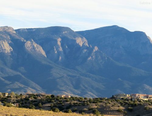 Mountains Outside Albuquerque